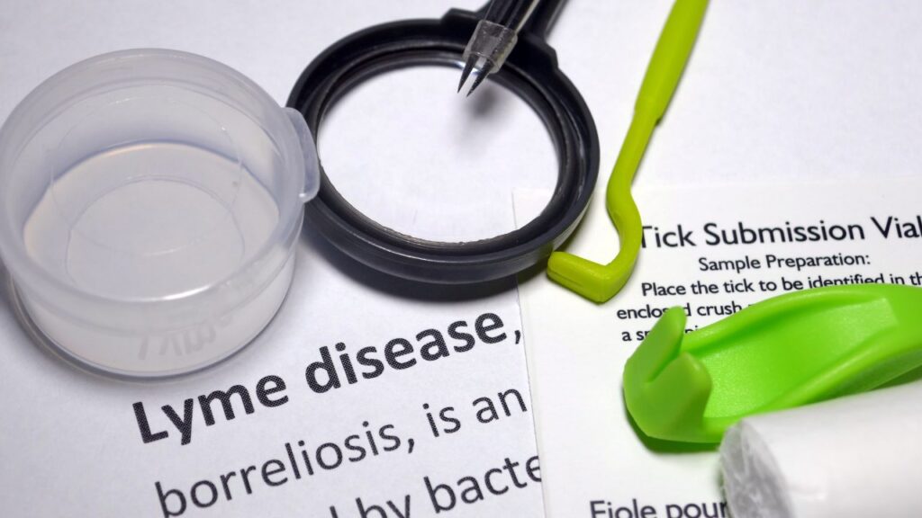 Lyme Disease Awareness Month