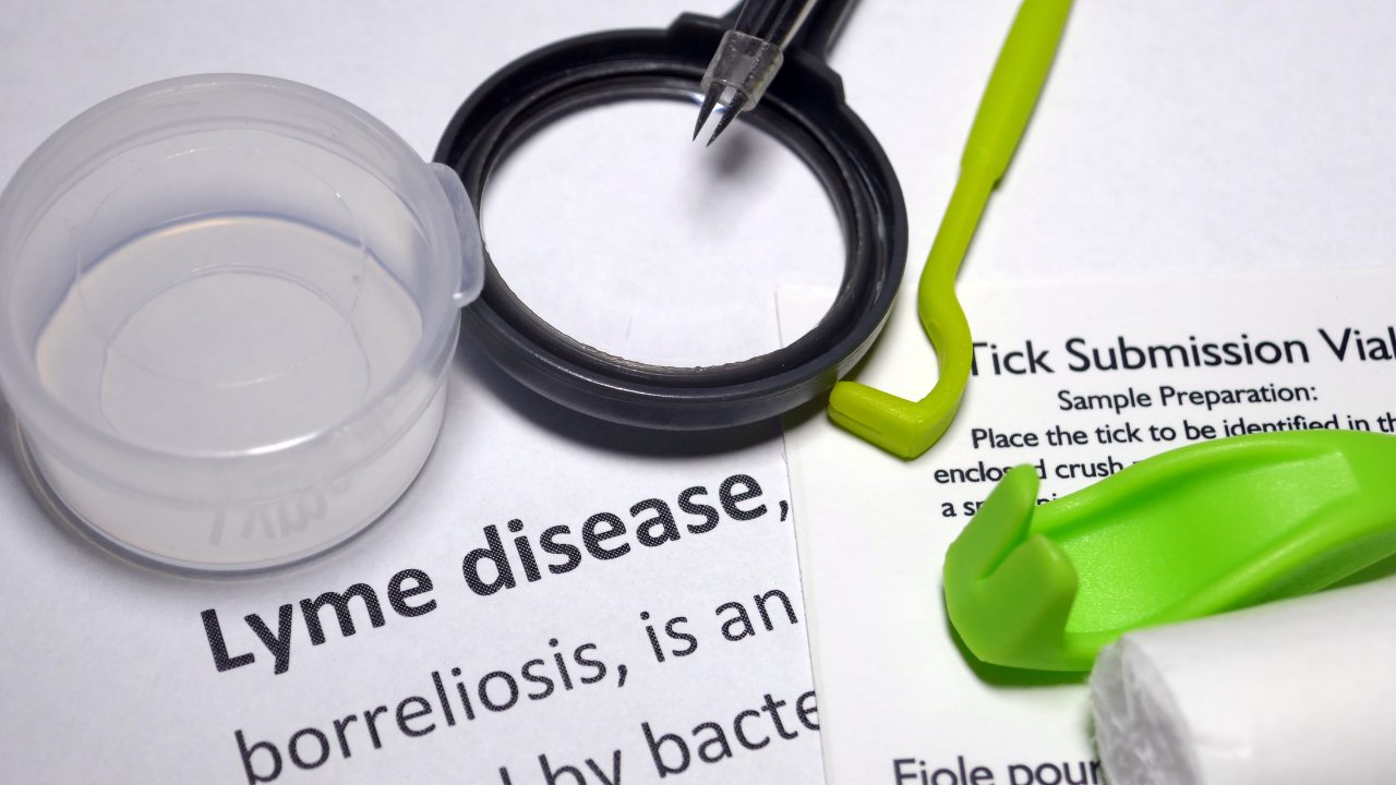 lyme disease awareness month blog
